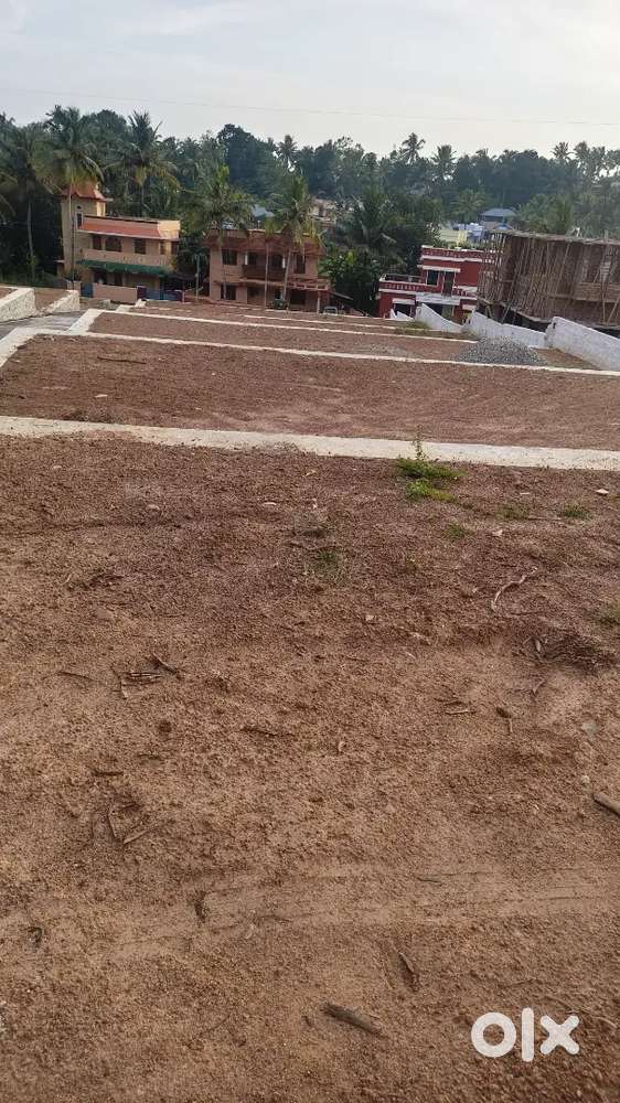 BEAUTIFUL PLOT NEAR CHEMPAZHANTHI 4 CENT 5 CENT 7 CENT  BTR KARABHOOM