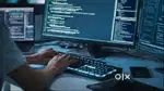 software developer