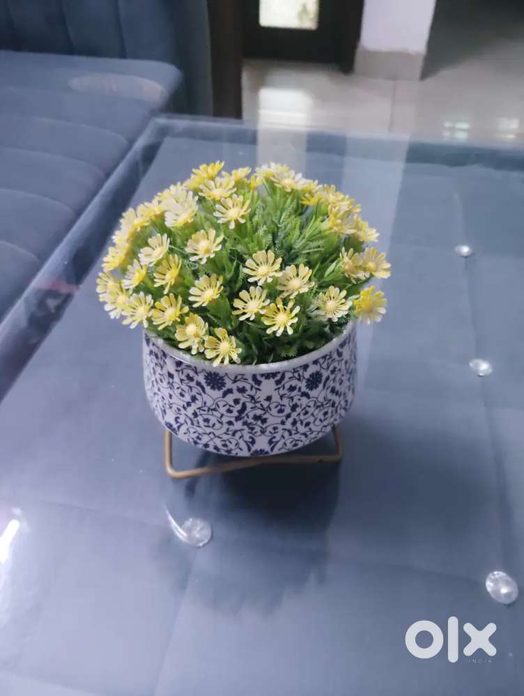 I need house cuking job