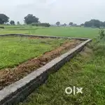 Only three plot available