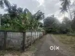 Thrissur ollukkara 5.50 cent plot for sale