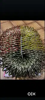 Bangles with wholesale rate
