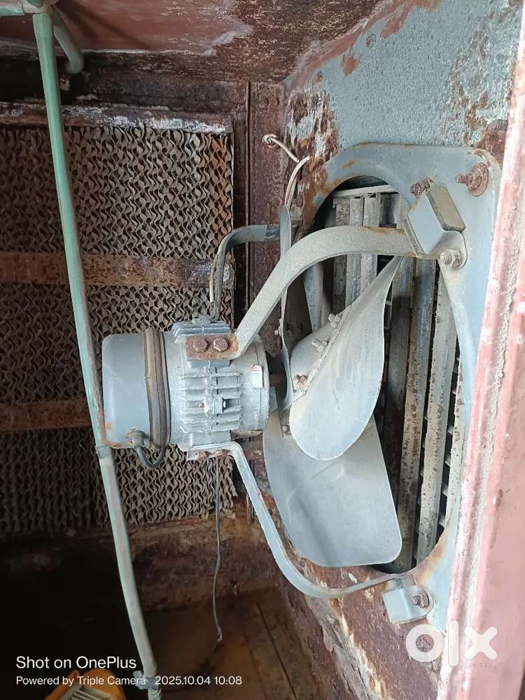 Desert cooler