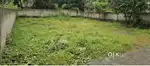 Home plot. Rectangle plane land with boundary wall.