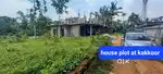 Piravom kakkoor
