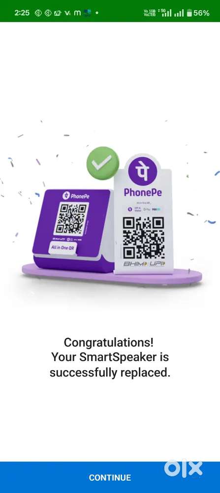 Phonepe private limited