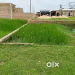 372 square feet ram Nagar gram goriya ramnagar durgamindir 200met