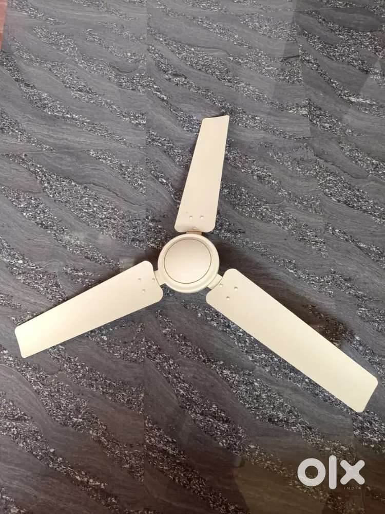 Ceiling Fan For Sale
