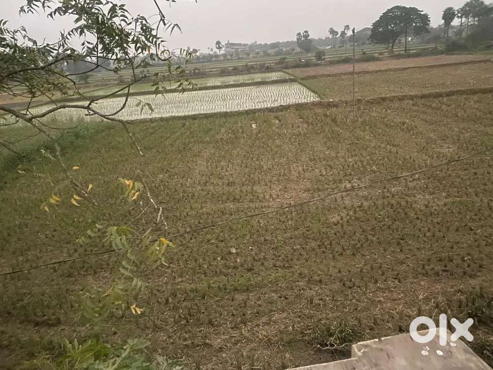 Commercial/Agriculture land for sale