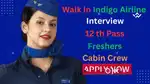 IndiGo Airlines Job-Airport Ground Staff & more.Male/Female Candidate