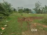 DTCP approved plots