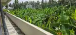 Flat for rent 1BHK