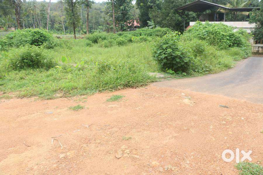 House plot 13.5 cent near Ettumanoor 2.5 km 1.80 lakh/cent