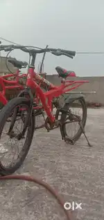 No seed and no Tyres year