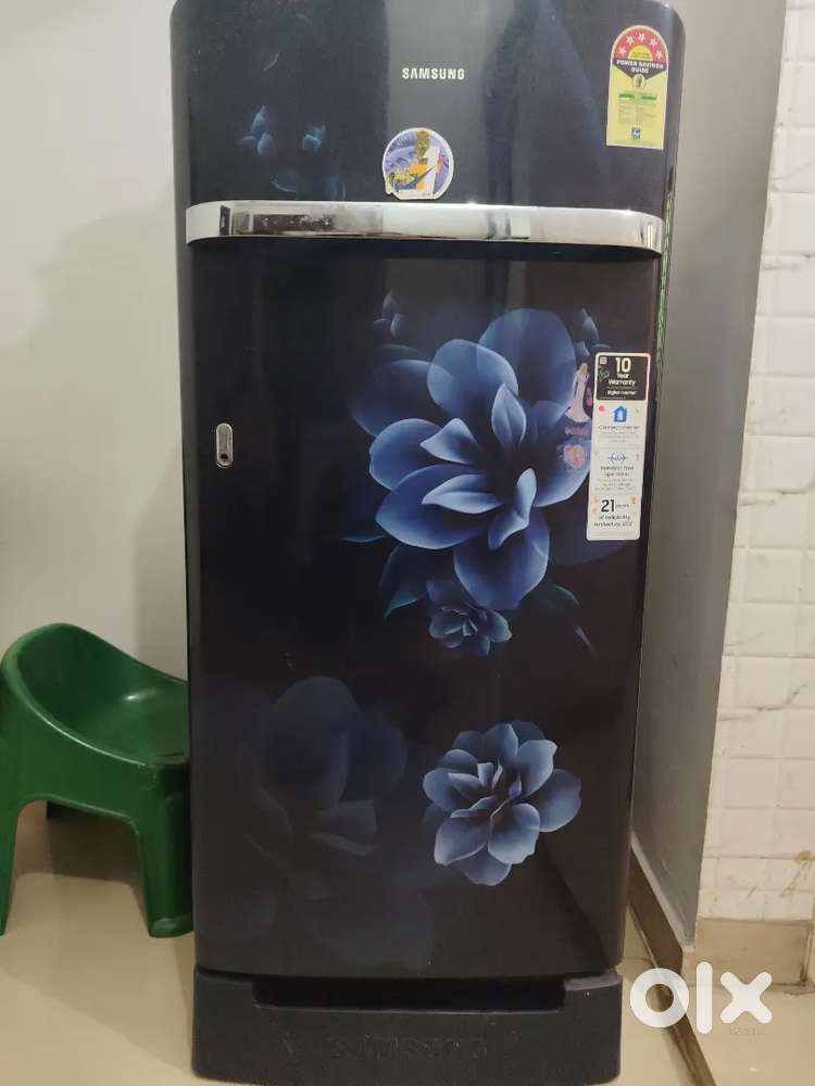 Old fridge 2022 model