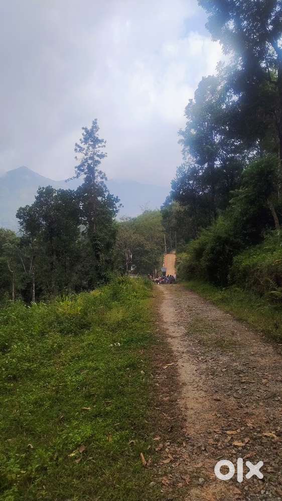 Wayanad vythiri chembra facing 35 cent land selling