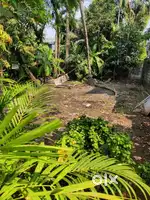 Land for sale at Palluruthy