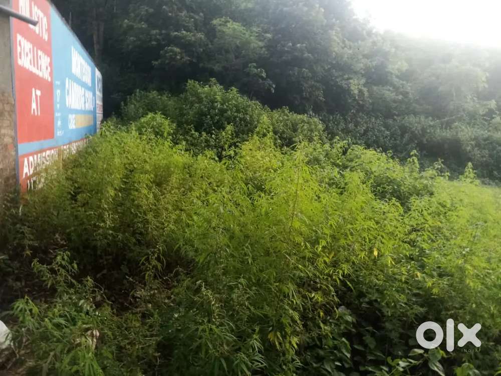 2 Shop plenth for sale at paldhai dhar road front,teh majalta udhampur