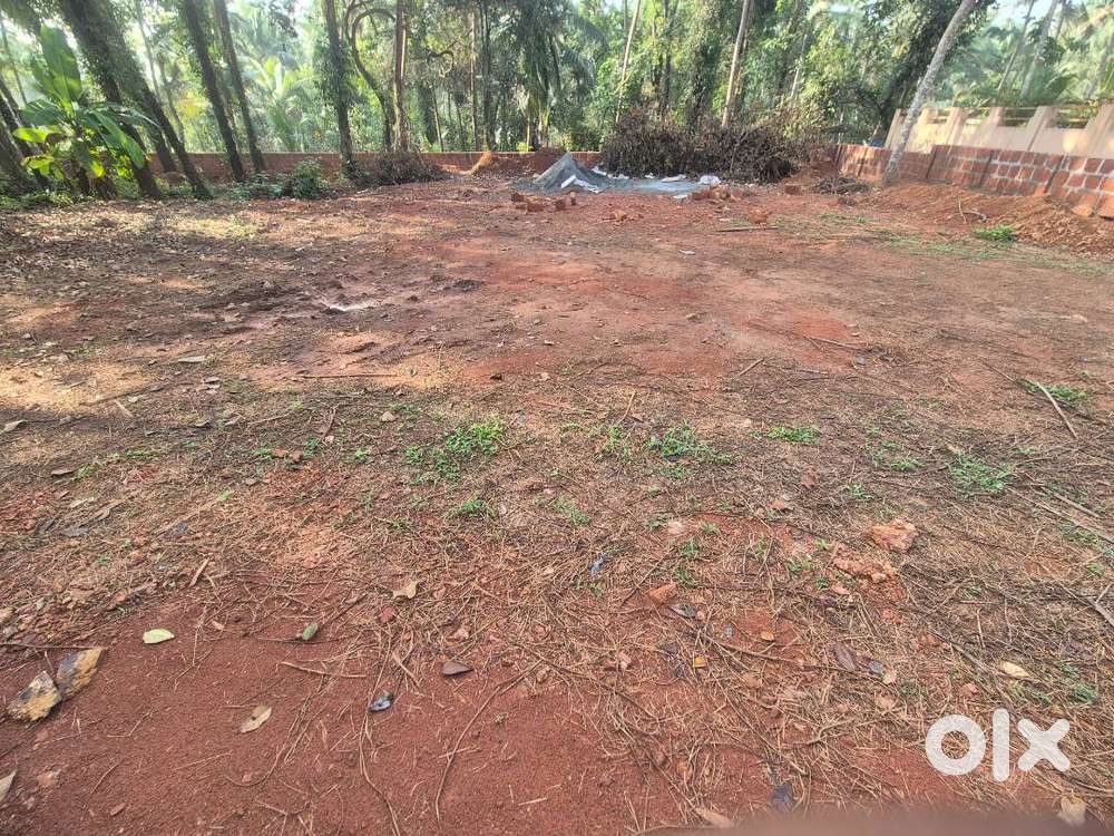 Land for  Sale - Chakkarakkal Anjarakkandy Road, Kannur, Kerala