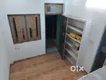 New one in the house