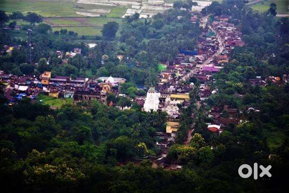 Rent in Ranpur main area.