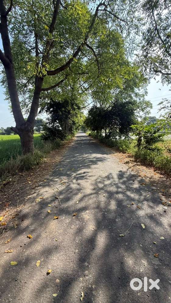 Corner plot for sale in farukhnagar mini byepass
