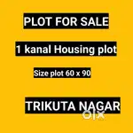 1 kanal plot Trikuta nagar sale