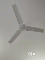 Orient Celing fan  dena h