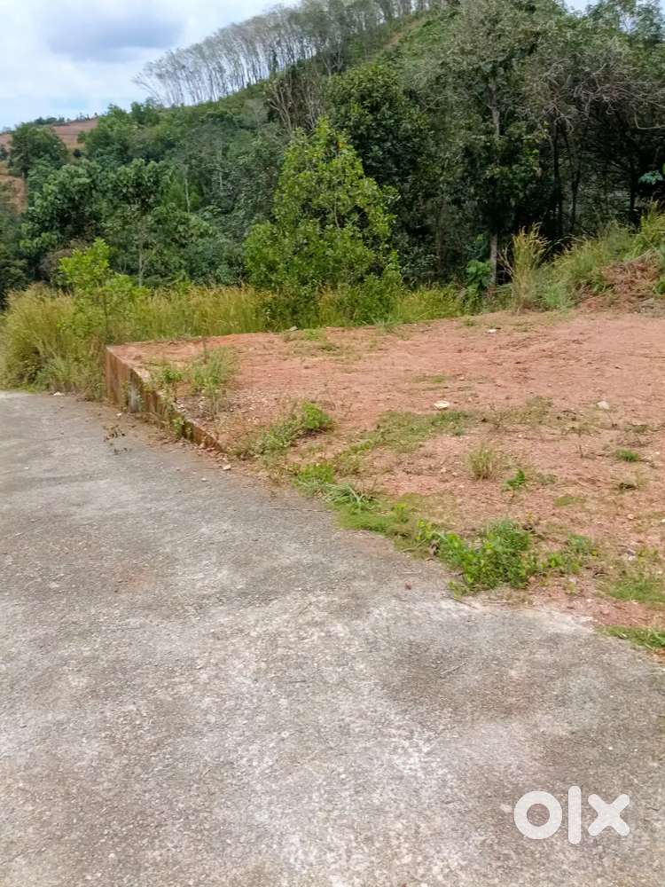 മനോഹരമായ ഹൗസ് ഫ്ലോട്ട്