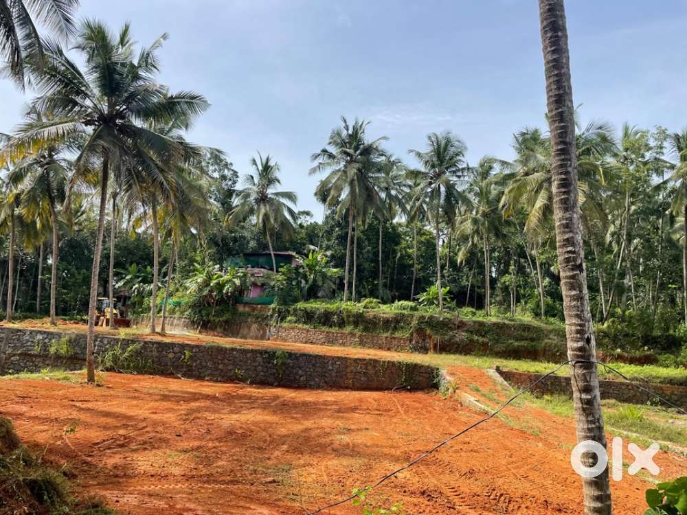 20 cent plot for sale