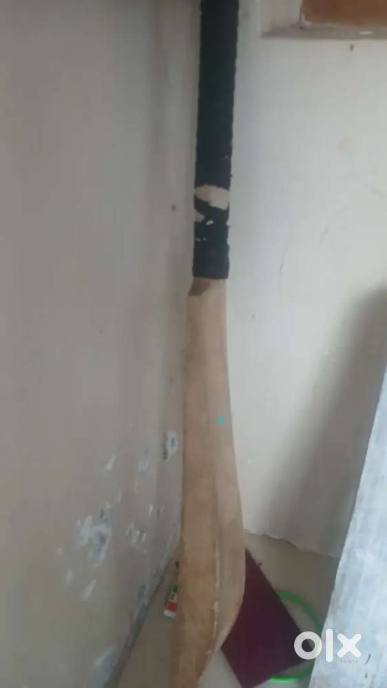 SG bat worth 3000