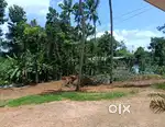 Land for sale 10 cent