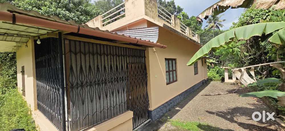 Pullad Vallikaala near 75 cent house for sale