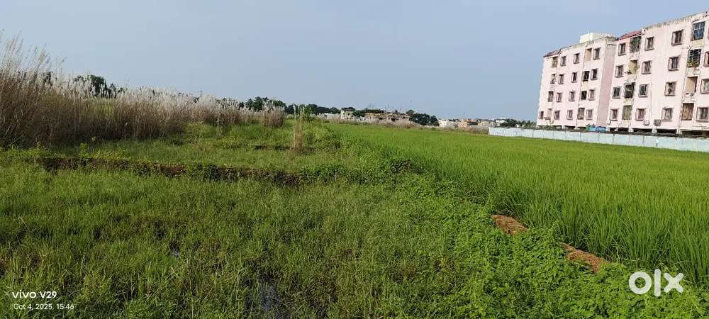 Plot For Sale Gudiapokhari bhubaneswar .
