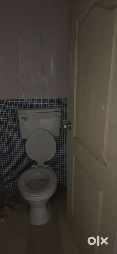 female flatemate required