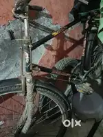 Neelam cycle