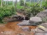 1 Acre Stream-Side Land for Sale Kenichira Wayanad