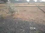 Open land plot