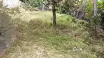 14  Cents land in Alappuzha.