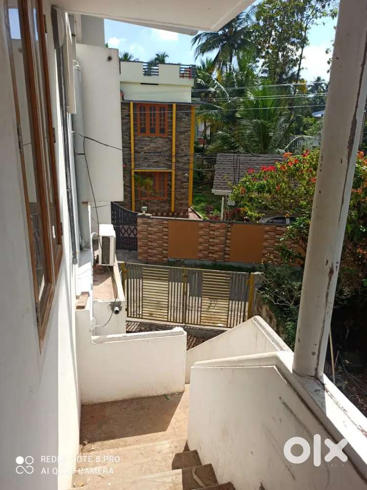 Single room for working women for rent