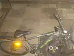 Electric cycle