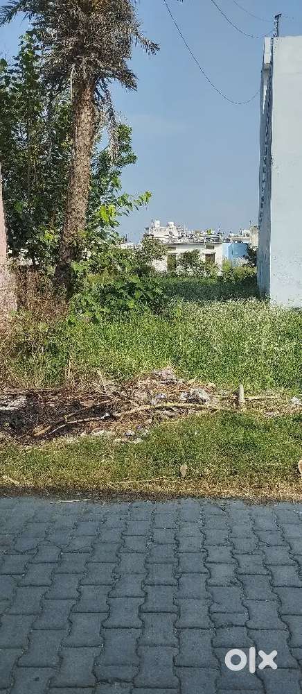 Plot for sell