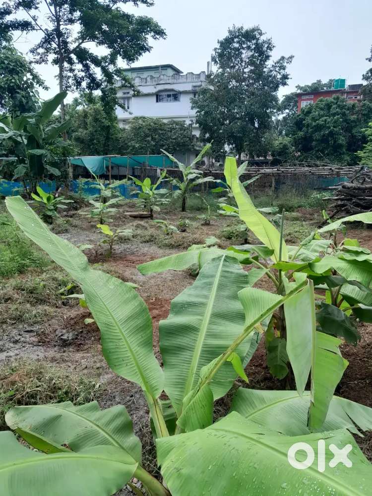 Property for sale, house, 2 kotha , chandmari, rail gate, tezpur,assam