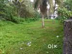 15cent square plot near ambady junction