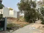 Plot sell st Panchvati colony a b Road