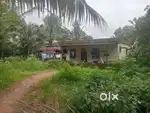 5.5 cents land with 2 rented house totally monthly income 12000