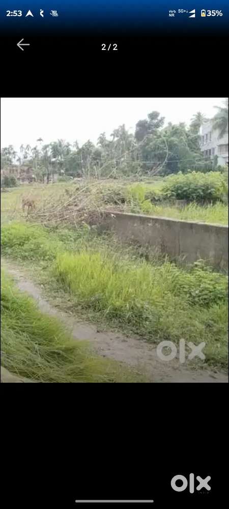 ১২ফুট রাস্তা,আড়াই কাঠা জমি নীলগঞ্জ সন্তোষপুর রোডের কাছে ।