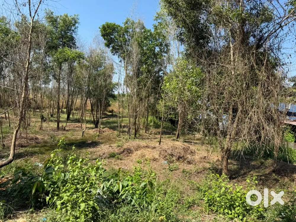 34 cents land selling best price in mkt per cents 350000 price