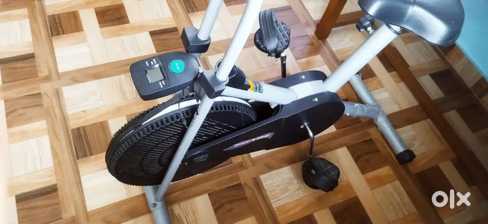 Body king (Cycle)