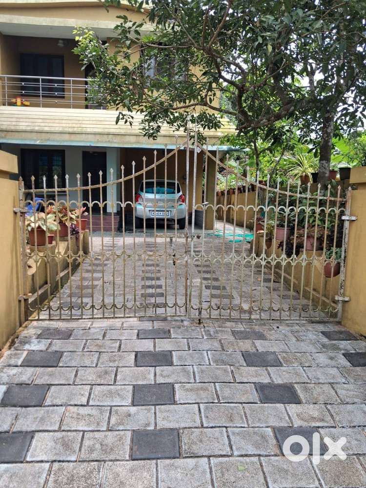 9.5 Ft Gate for Sale